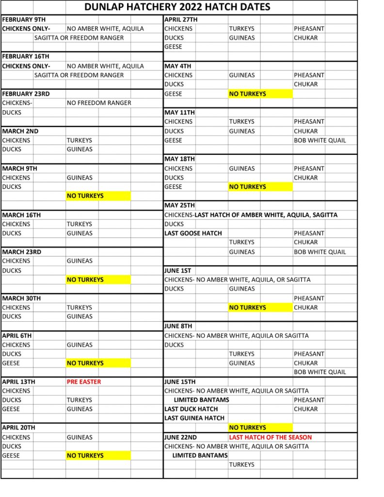 Chick Hatching Schedule | When Chicks Are Hatched | Caldwell